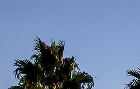 Apartments in San Pedro, CA Marine View Apartments